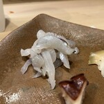 うを徳 - 気仙沼産のさより