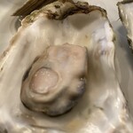 かき小屋 新橋 - 