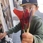 こだまちゃん - 