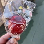 こだまちゃん - 