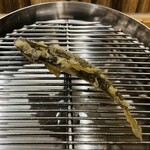 てんぷら 下村 - 稚鮎