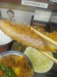 Katsudon Wakaba - 