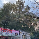 Tatsumi Dango Seizou Honpo - 安城公園の桜まつりの屋台