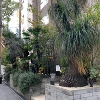 熱香森 - 