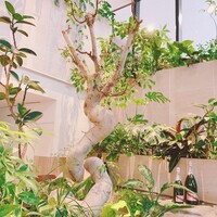 熱香森 - 
