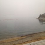 Michinoekimitsushisaidoresutorantotonaya - 瀬戸内の景色は霧でした。