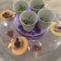 スミレオオサカ -  スミレオオサカ -