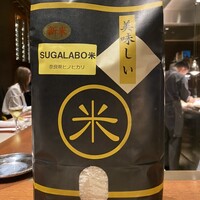 スガラボヴィー - 