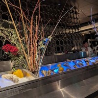 MAIMON GINZA - 