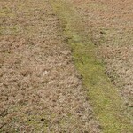 くつきそば 永昌庵 - 