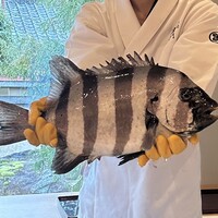 日本料理 別府 廣門 - 