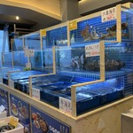 Jumbo Seafood Restaurant - 