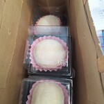 いちごファーム北条 - いちご大福8個