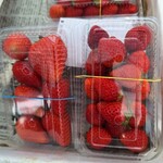 いちごファーム北条 - 苺2パック