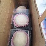 いちごファーム北条 - いちご大福8個