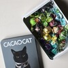 CACAOCAT 白金台店