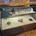 쇼코라 듀 보뉘루