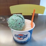 ブルーシールアイスクリーム - 料理写真:ミントチョコとバニラ