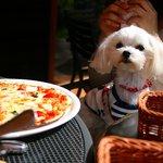 Il Sogno - テラス席