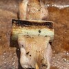 串焼とこころ 克 - 大和肉鶏ソリ