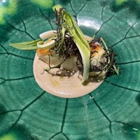 Global French Kitchen 雫 - 
