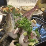 炉端焼 いさり火 - 