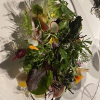 レフェルヴェソンス - 