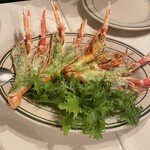 オステリア ラディーチ - 