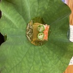 福井割烹 望月 - 