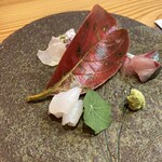 福井割烹 望月 - 