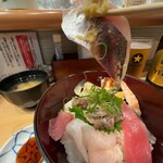 Nihombashi Sushi Tsurikin - 