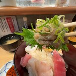 Nihombashi Sushi Tsurikin - 