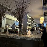 THE APOLLO - 