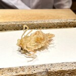 日本橋 蕎ノ字 - 車えび 頭 1