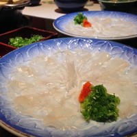 ふぐ好 北新地店 - てっさ…ひとり一皿ずつ♪