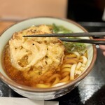 名立谷浜サービスエリア（下り線）フードコート - 料理写真:しろえびかき揚げ天