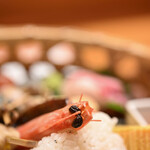 赤坂とゝや魚新 - 《炭籠辨當（すみかごべんたう）》、"基圍蝦（くるまえび）"