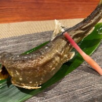 飛騨季節料理 肴 - 