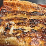 Unagi Akagaki - 