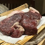 Kawamura Dashi Cha - ご立派なヒグマのお肉