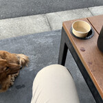 スターバックスコーヒー - 