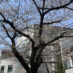 スターバックスコーヒー - 