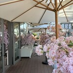 HAUTE COUTURE CAFE OMOTESANDO - 