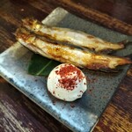 囲坊主 - 本ししゃも