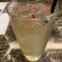 Shangri-La's secret ROPPONGI - 