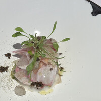 Terres de Truffes, Tokyo - 