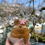 白髭のシュークリーム工房 - 井の頭公園へ♪
桜とシュークリームのコラボです♡(  ´艸`)