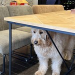 카루이자와 코우소부로 토 타이 식당.