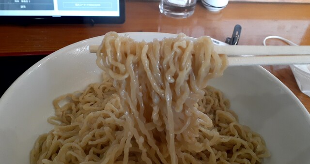 藤島飛来ラーメン - 藤島（ラーメン）の写真