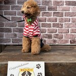 Dog Cafe ベルン - 